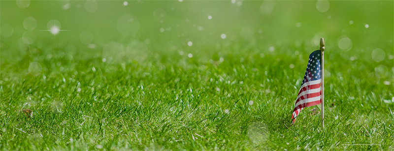 Lawn, Garden/Patio Image